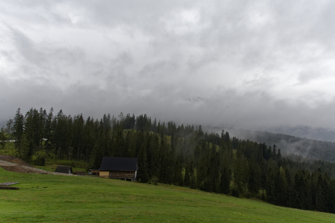 20160513 093923•••Biały Dunajec•Lesser Poland•Poland
